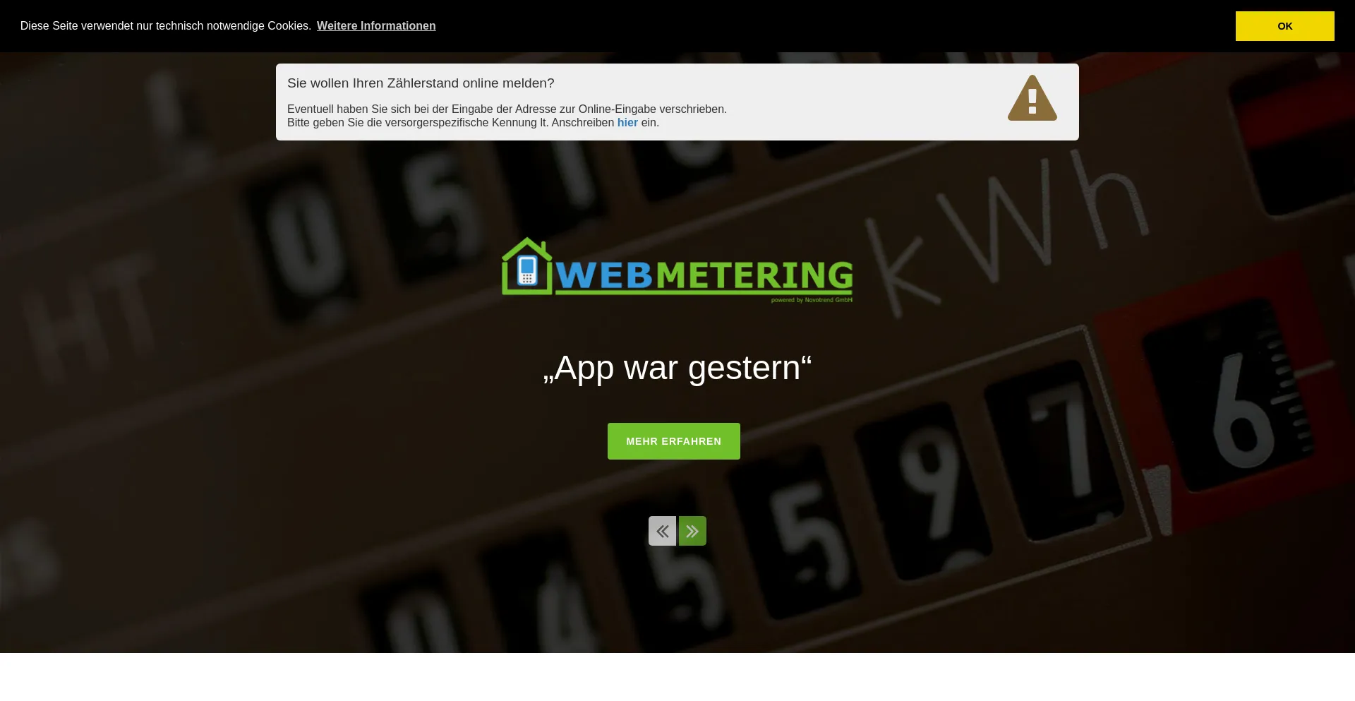 Website screenshot of Webmetering.de