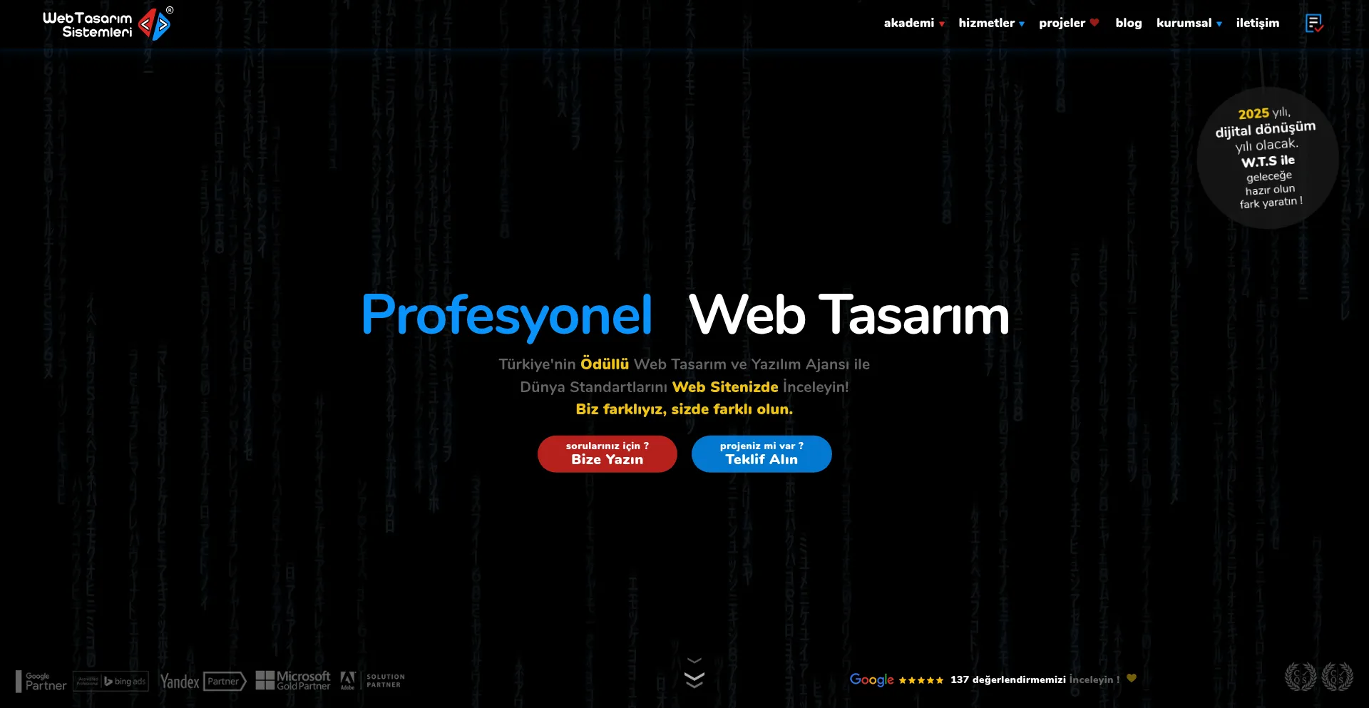 Webtasarimsistemleri.com Screenshot