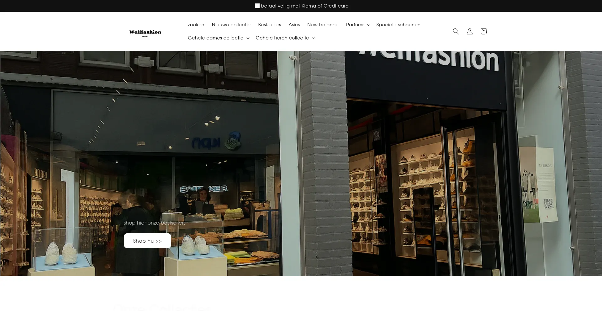 Website screenshot of Wellfashion.nl