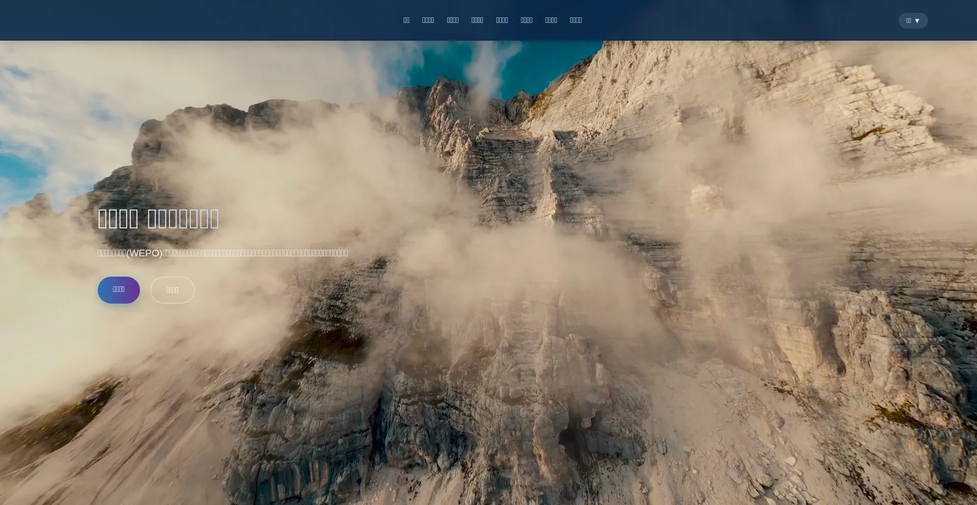 Wepo.top Screenshot
