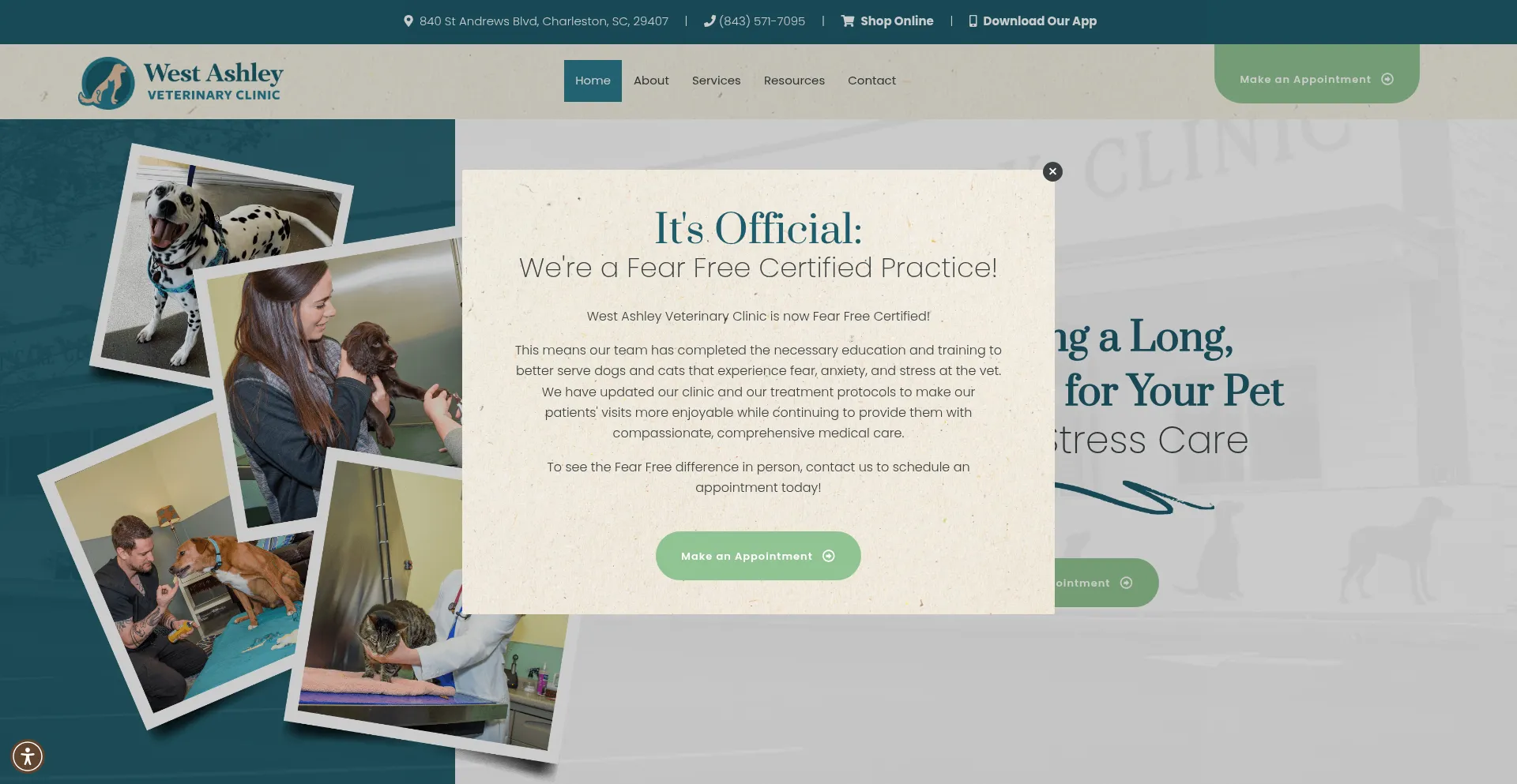Website screenshot of Westashleyvet.com