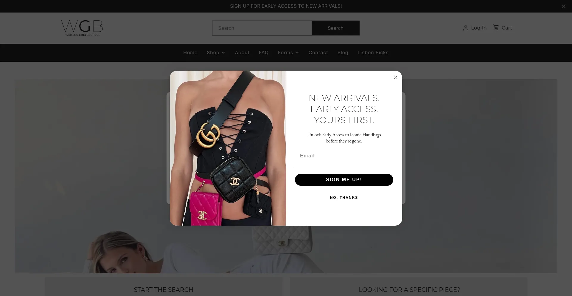 Website screenshot of Wgboutique.com