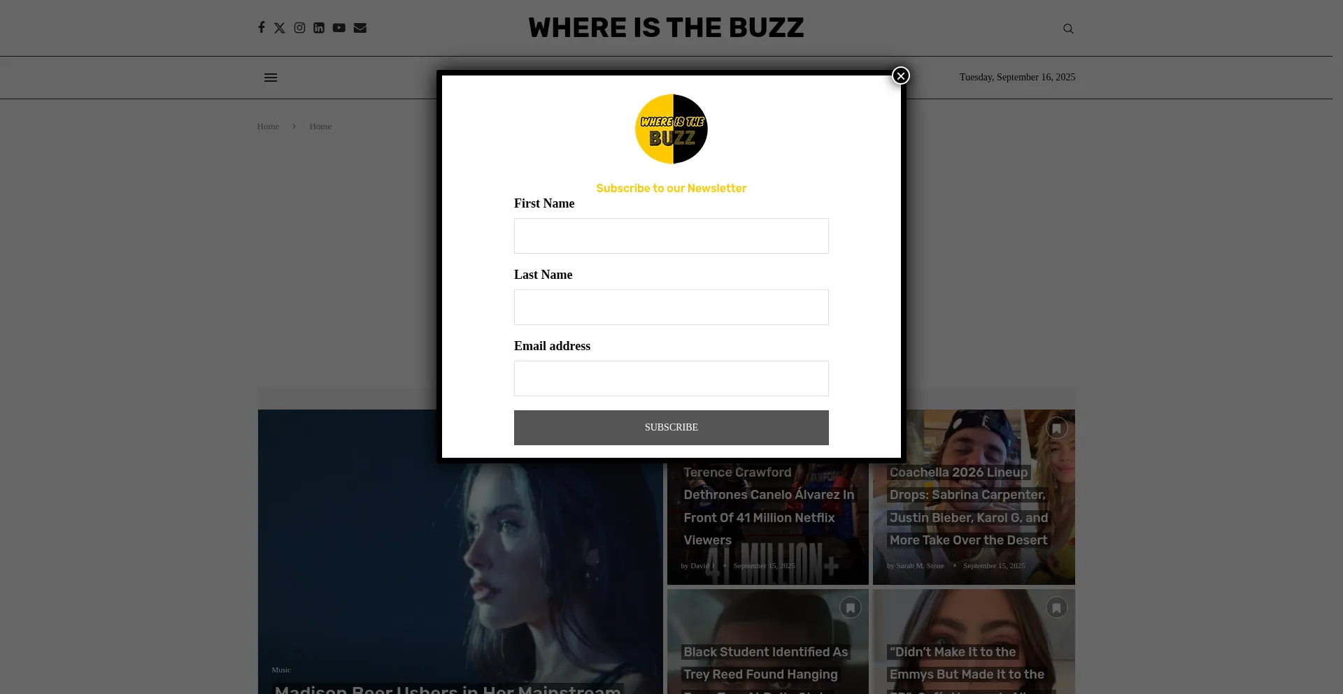 ¿És Seguro y Confiable Whereisthebuzz.com?