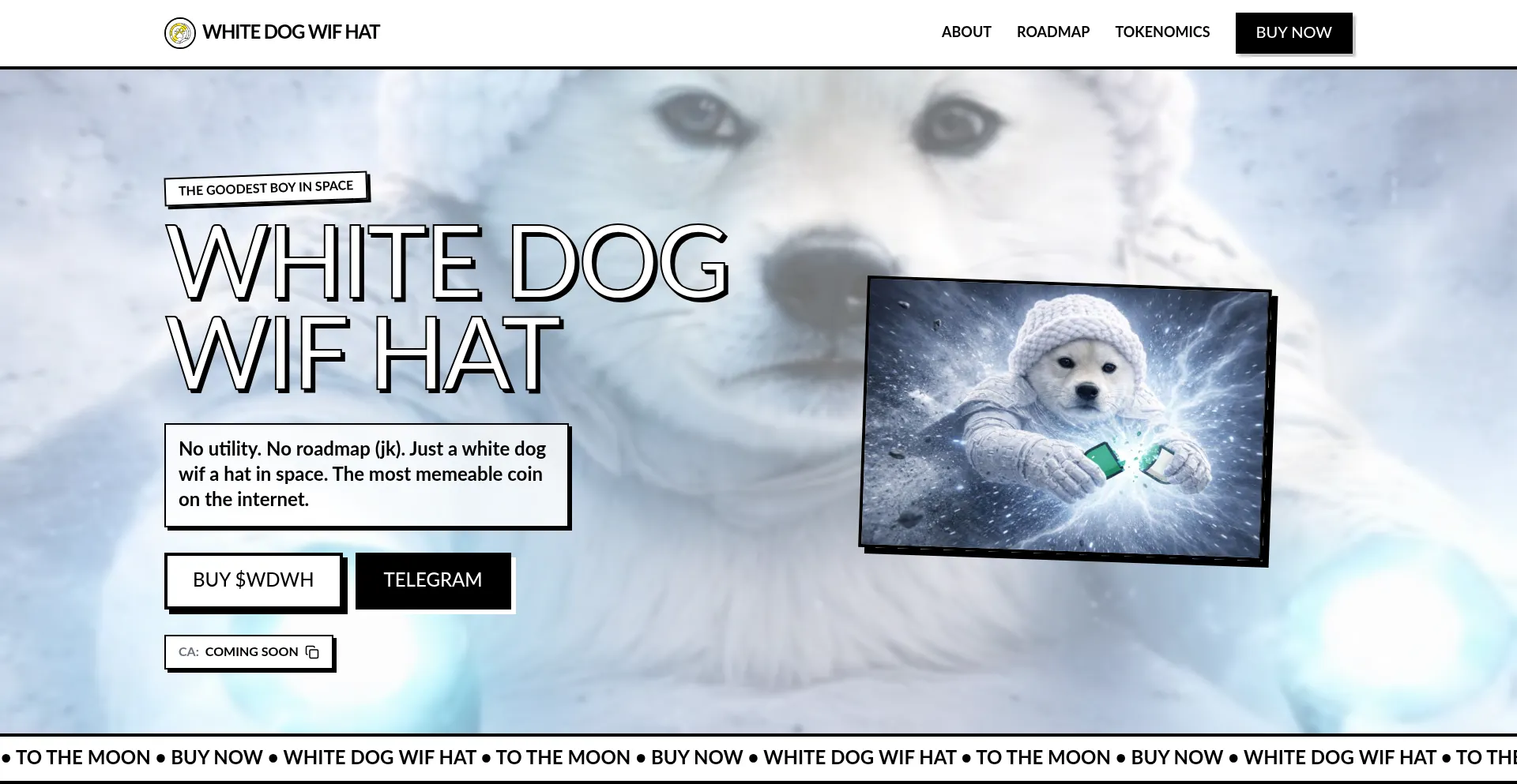 Whitedogwifhat.manus.space