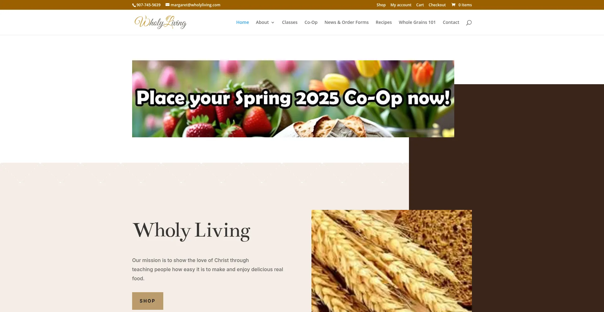 Website screenshot of Wholyliving.com