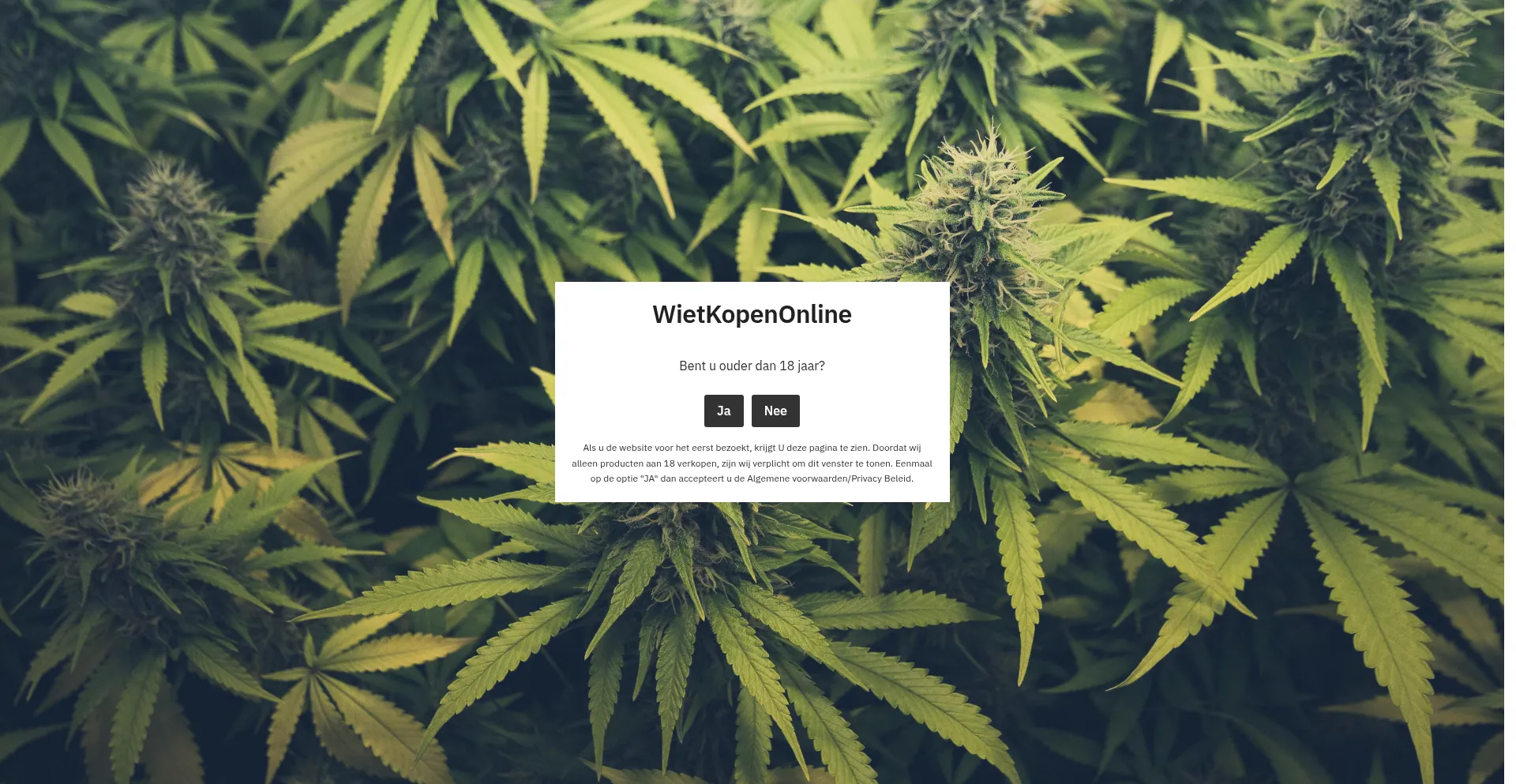 Website screenshot of Wietkopenonline.eu