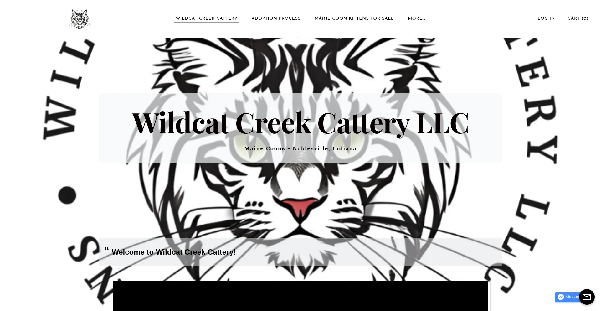 Wildcatcreekcattery.com