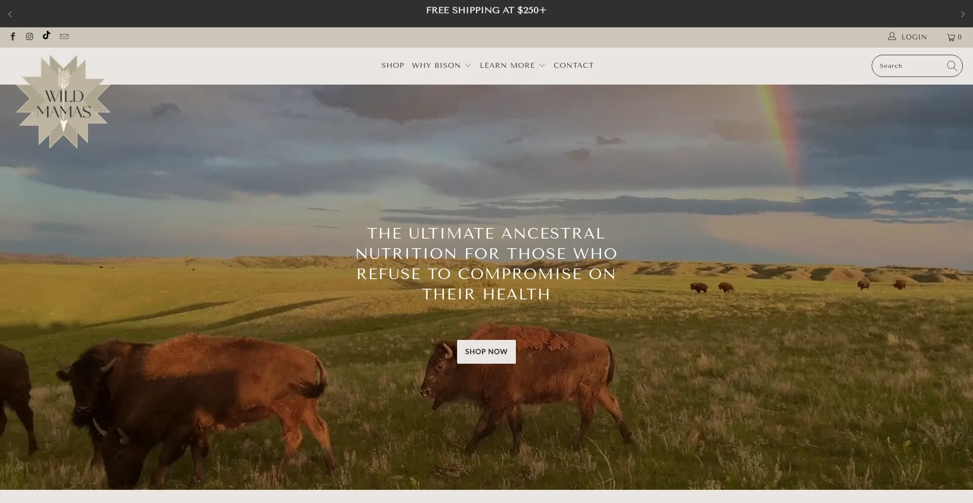 Website screenshot of Wildmamas.com