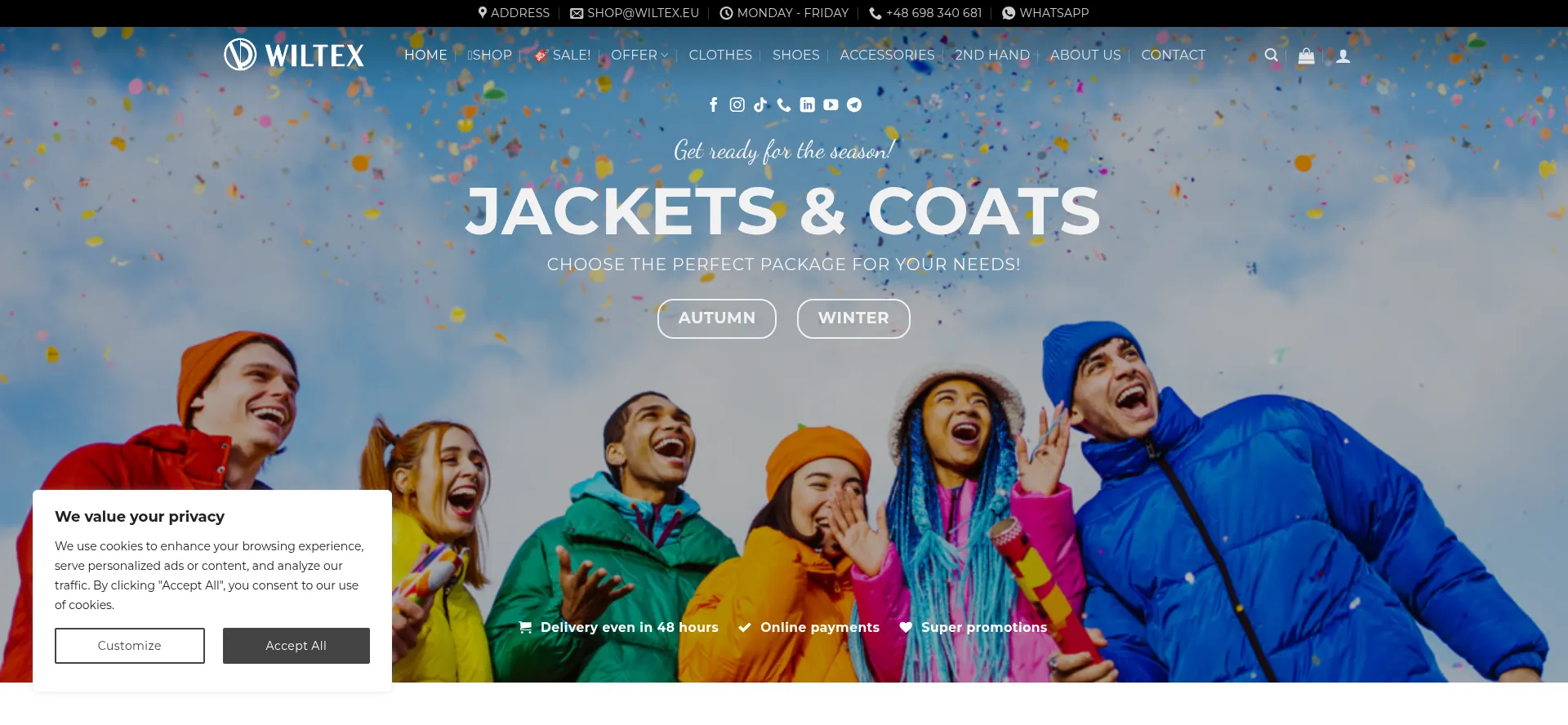 Website screenshot of Wiltex.eu