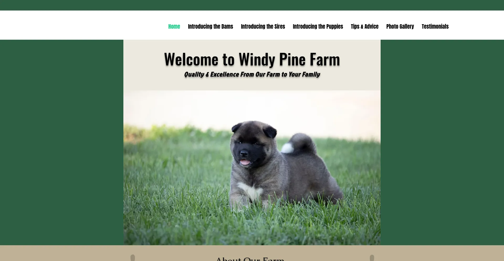 ¿És Seguro y Confiable Windypinefarm.com?