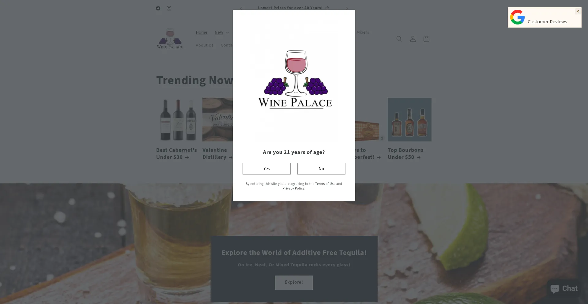 Website screenshot of Winepalacemi.com