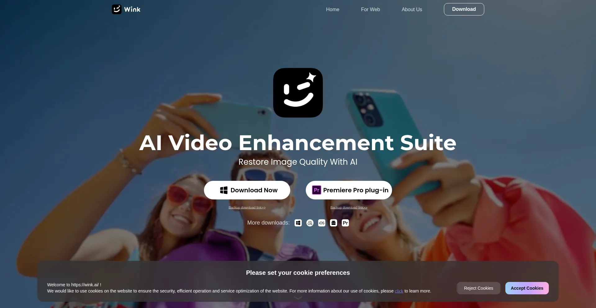 Website screenshot of Wink.ai