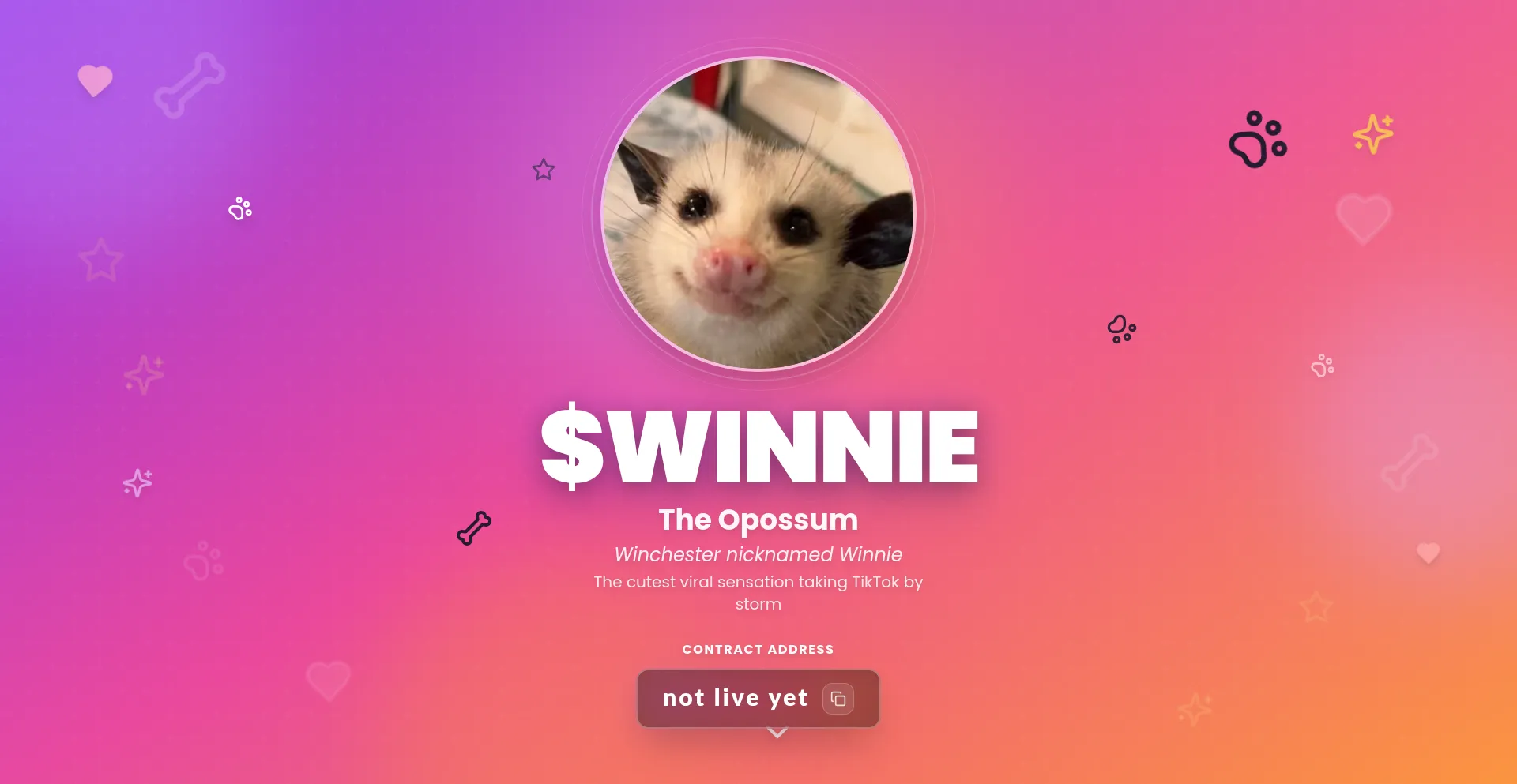 Winnietheopossum.fun