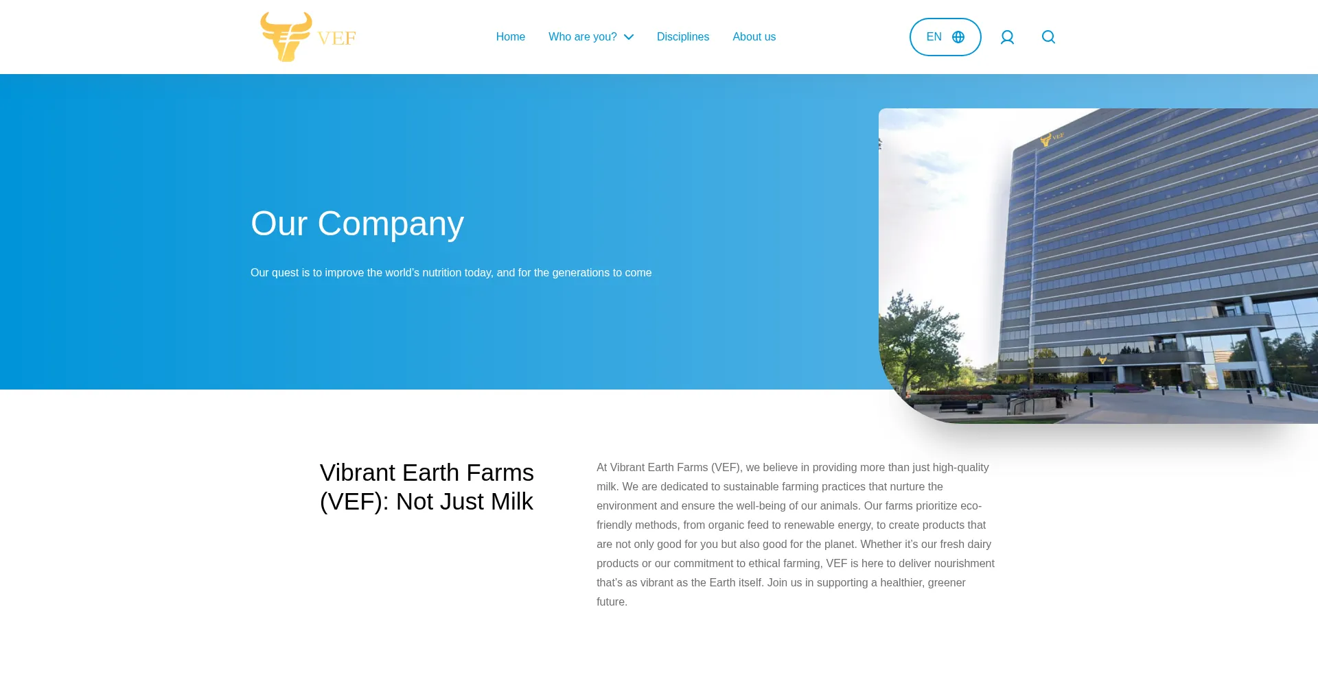 Website screenshot of Wlovef.com