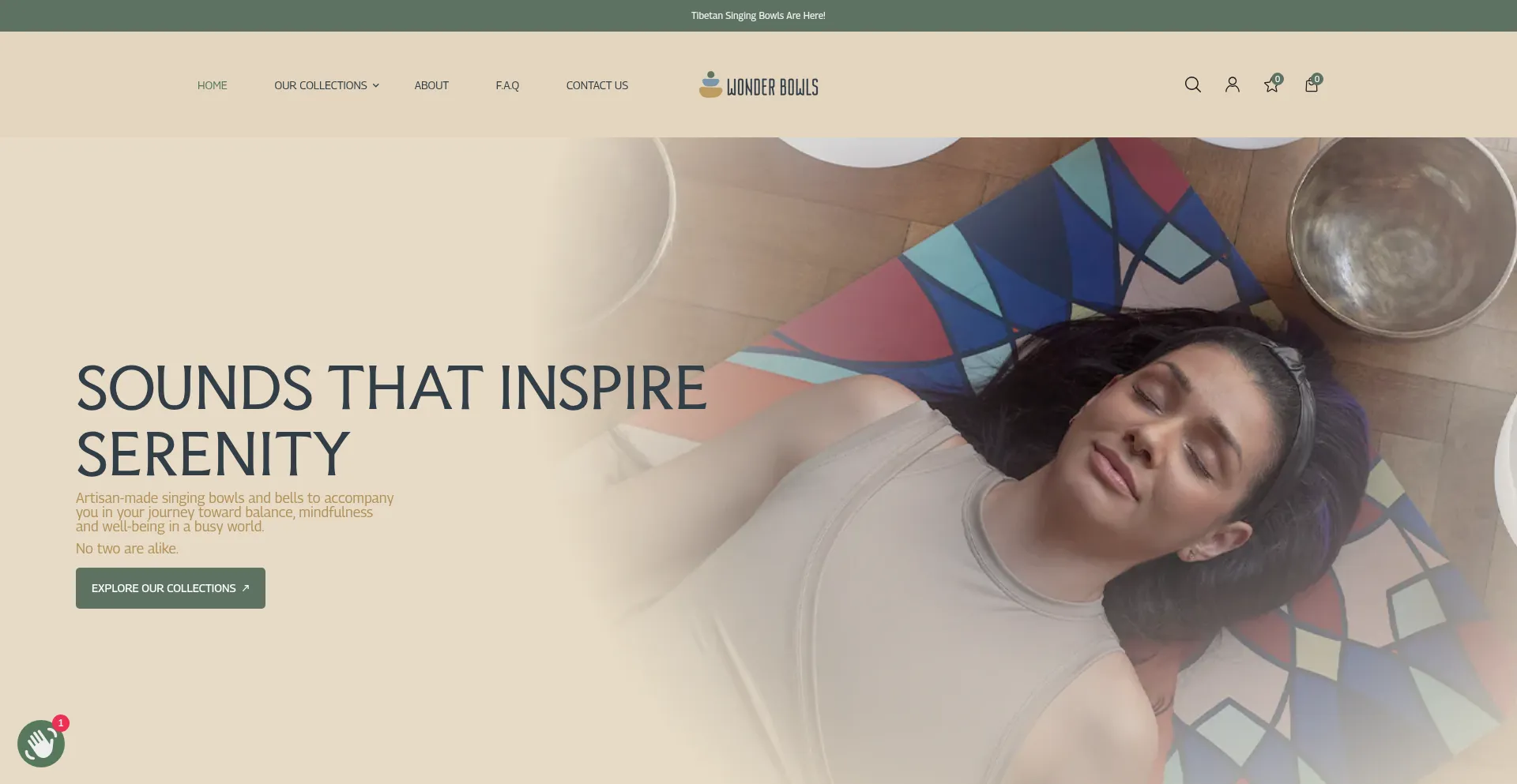 Website screenshot of Wonder-bowls.com