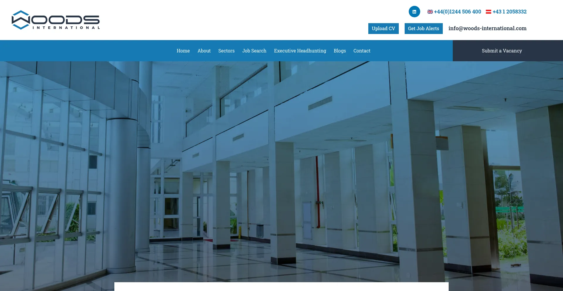 Website screenshot of Woods-international.com