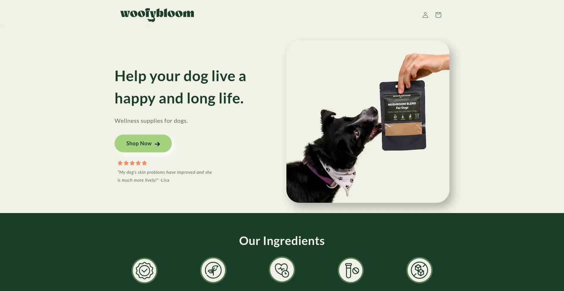 Website screenshot of Woofybloom.com