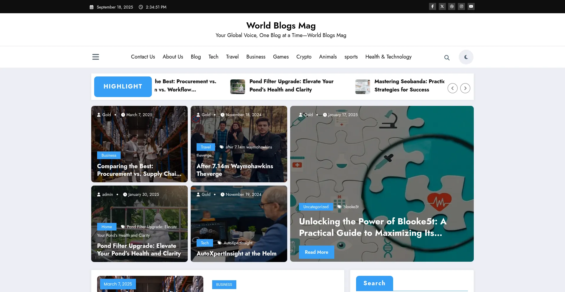 ¿És Seguro y Confiable Worldblogsmag.com?