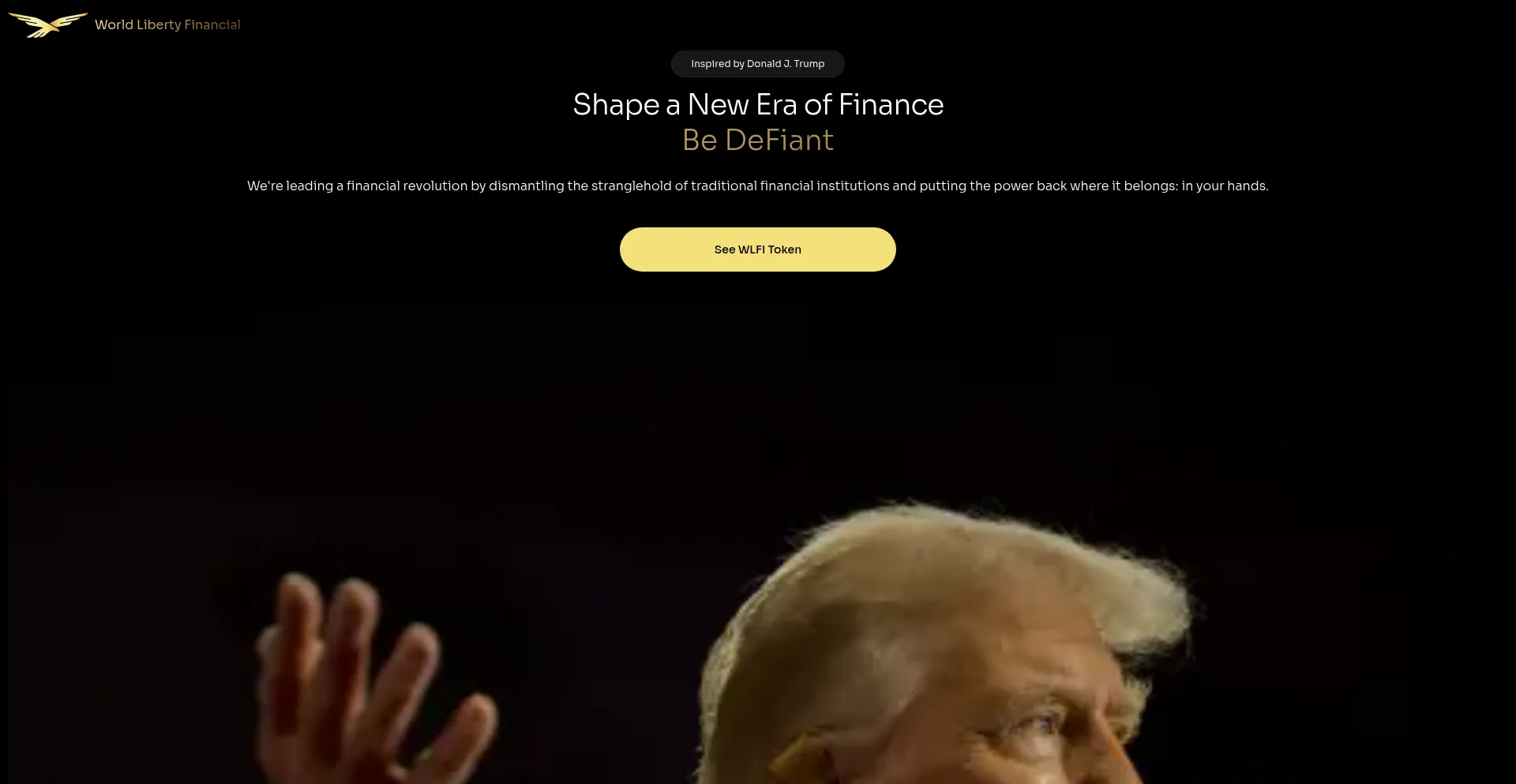 Website screenshot of Worldlibertyfinanal.com