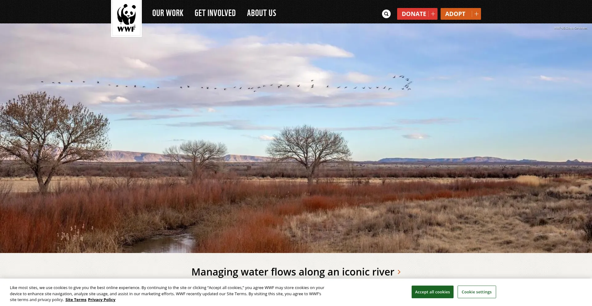 Website screenshot of Worldwildlifefund.org