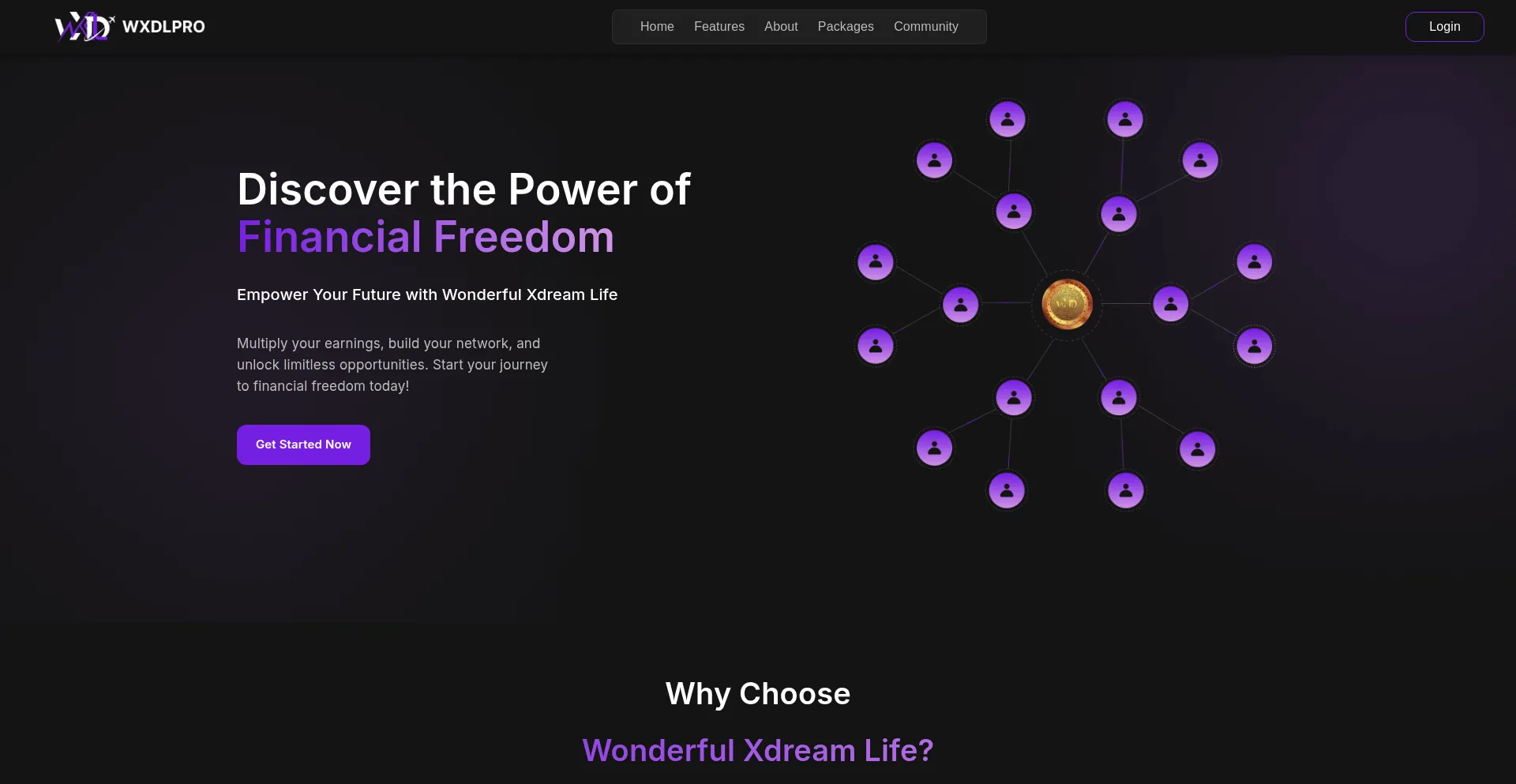 Website screenshot of Wxdlpro.io