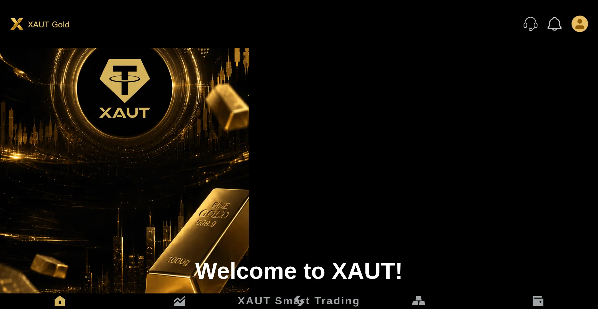 Xautcoin.net