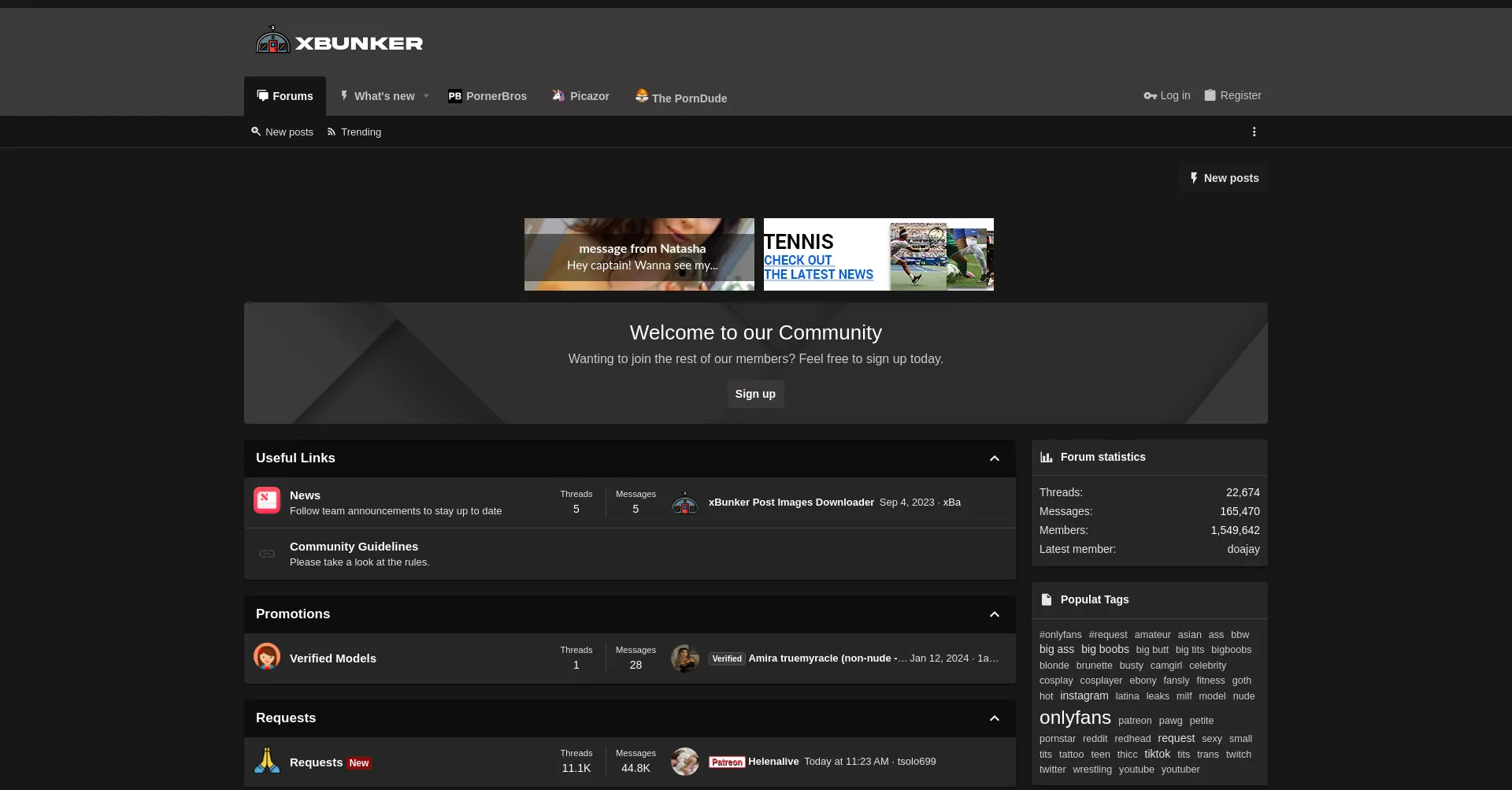 Website screenshot of Xbunker.nu