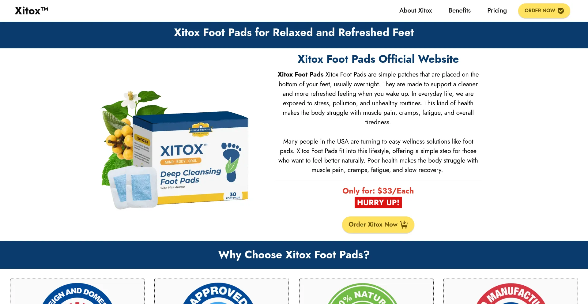 Website screenshot of Xitox-footpads.us