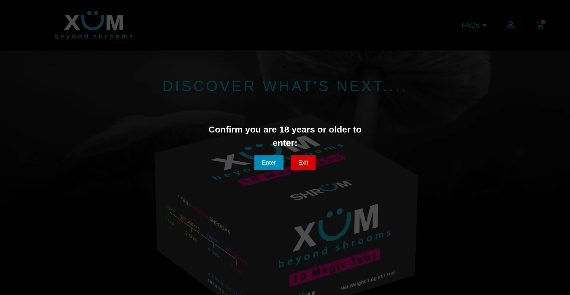 Website screenshot of Xumtrip.com