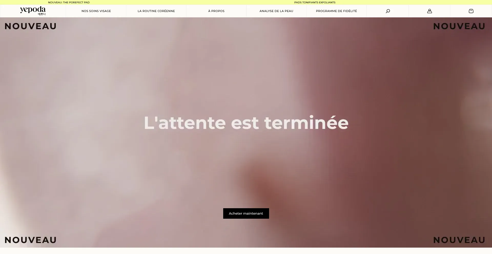 Website screenshot of Yepoda.fr