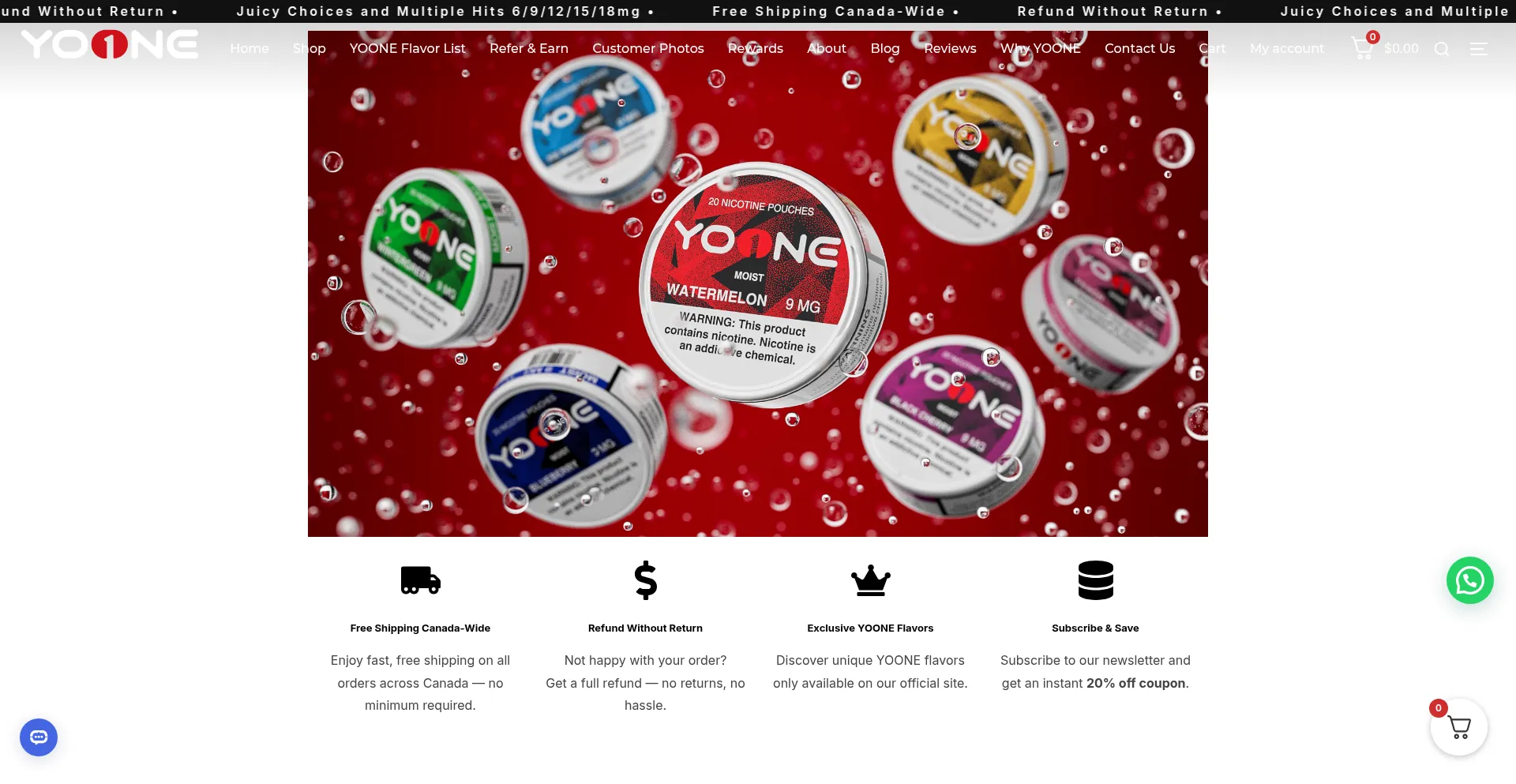 Website screenshot of Yoonepouches.com