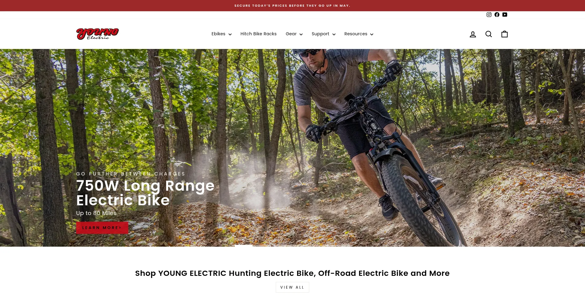 Website screenshot of Youngelectricbikes.com