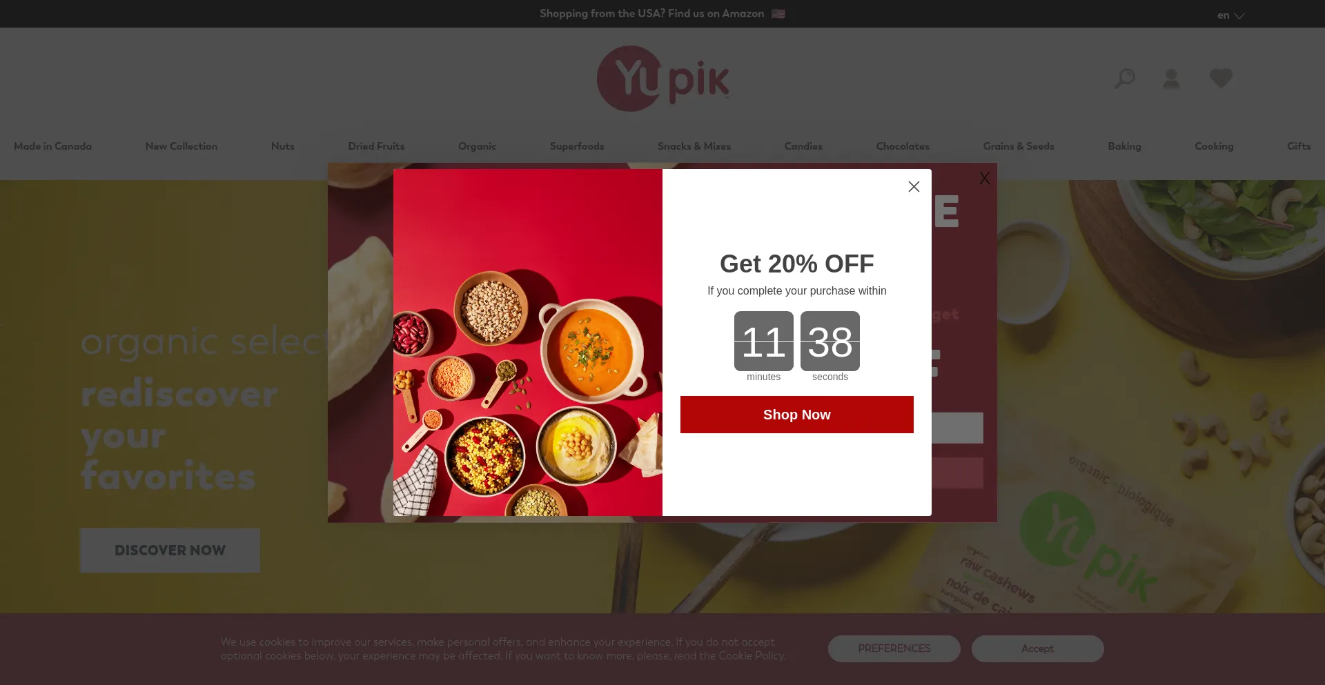 Website screenshot of Yupik.com