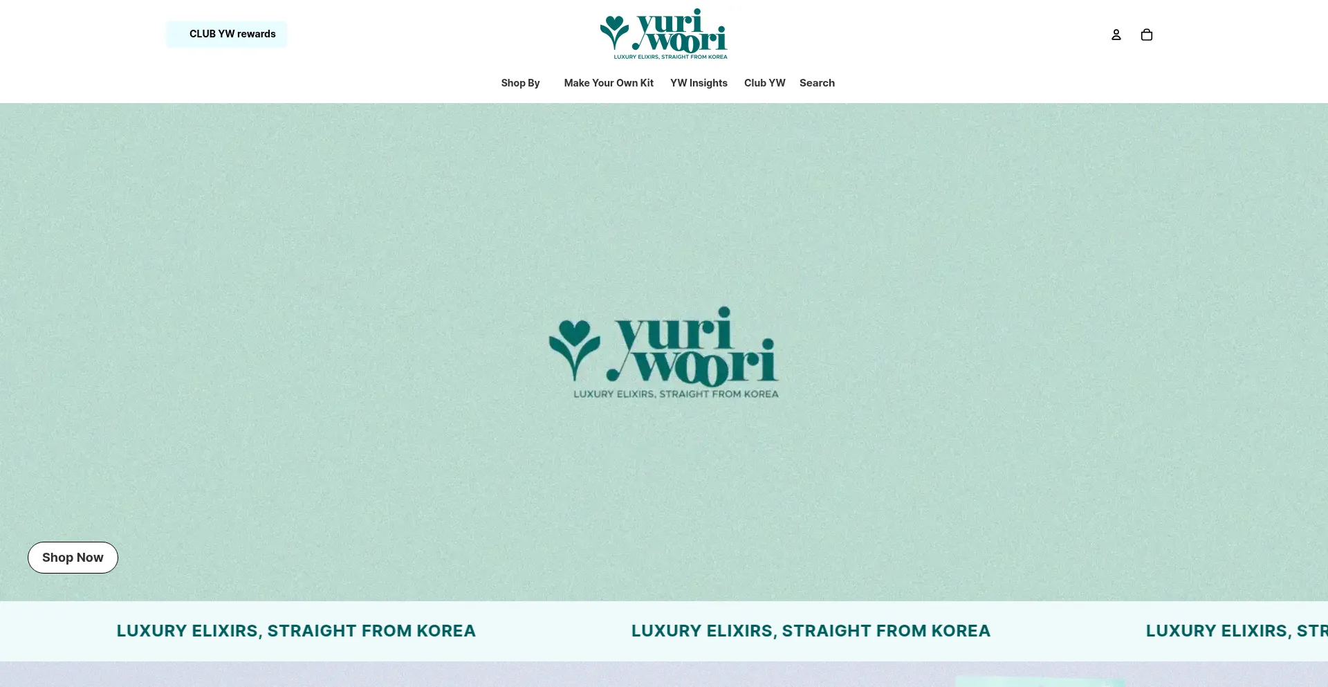 Website screenshot of Yuriwoori.com