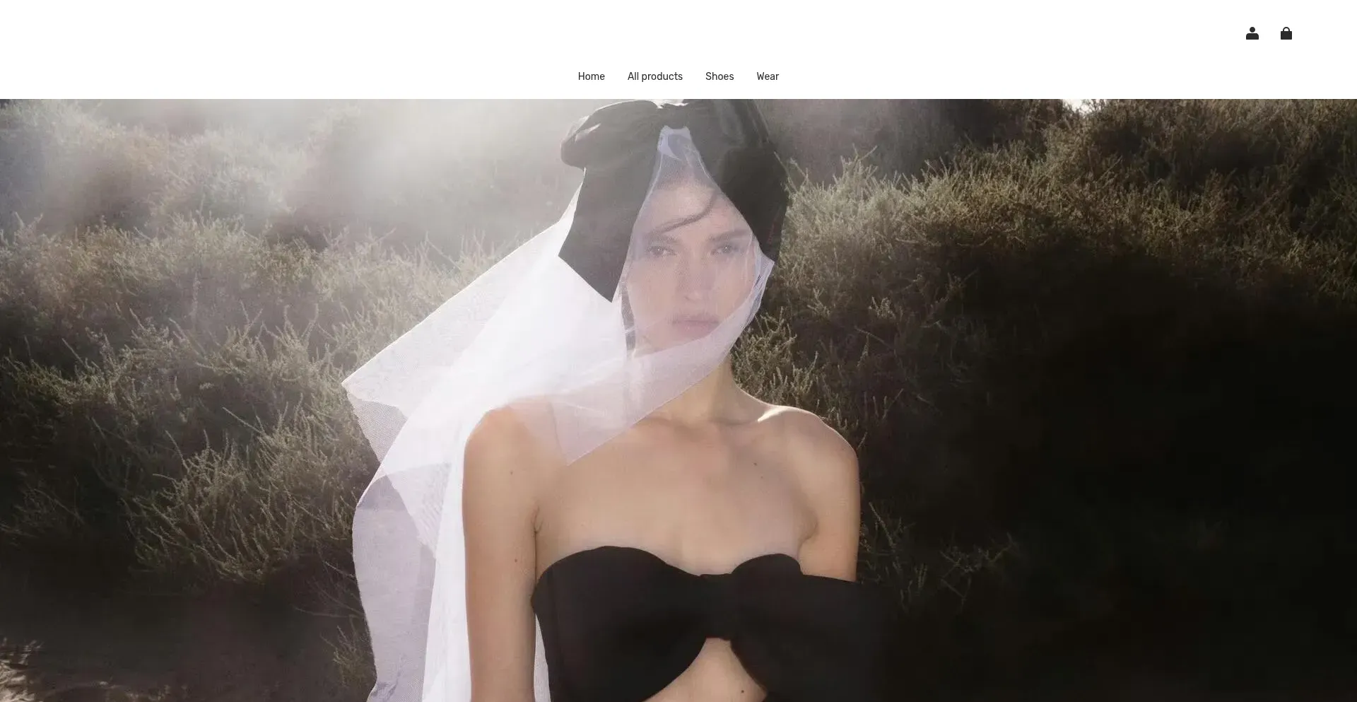 Website screenshot of Zalandofrance.shop