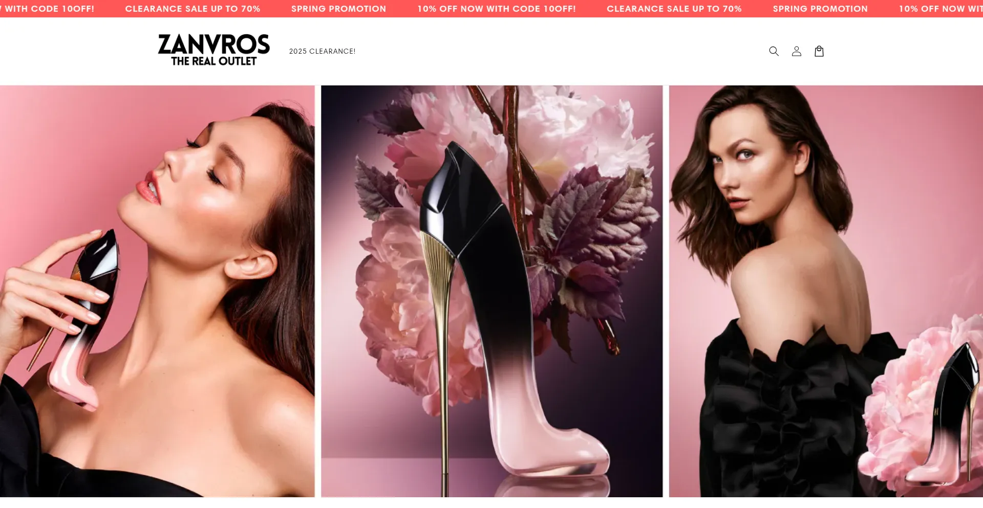 Website screenshot of Zanvros.com