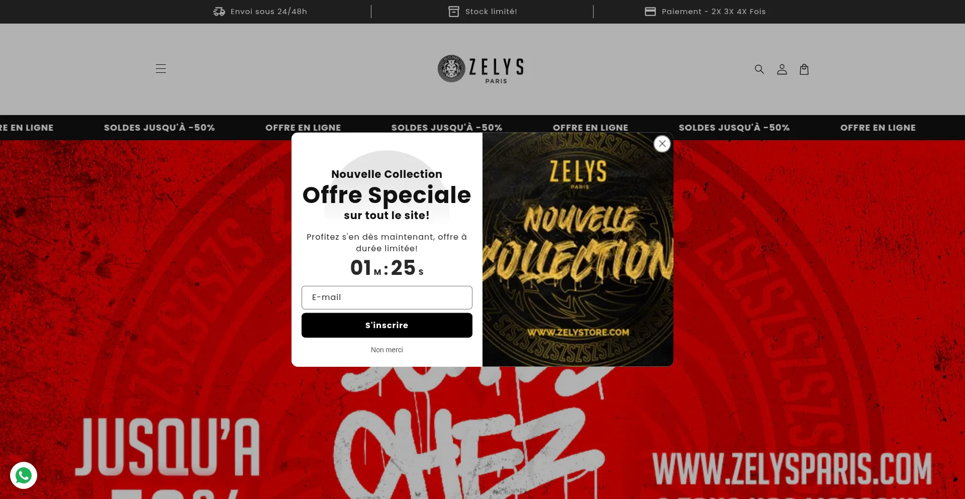 Zelystore.com