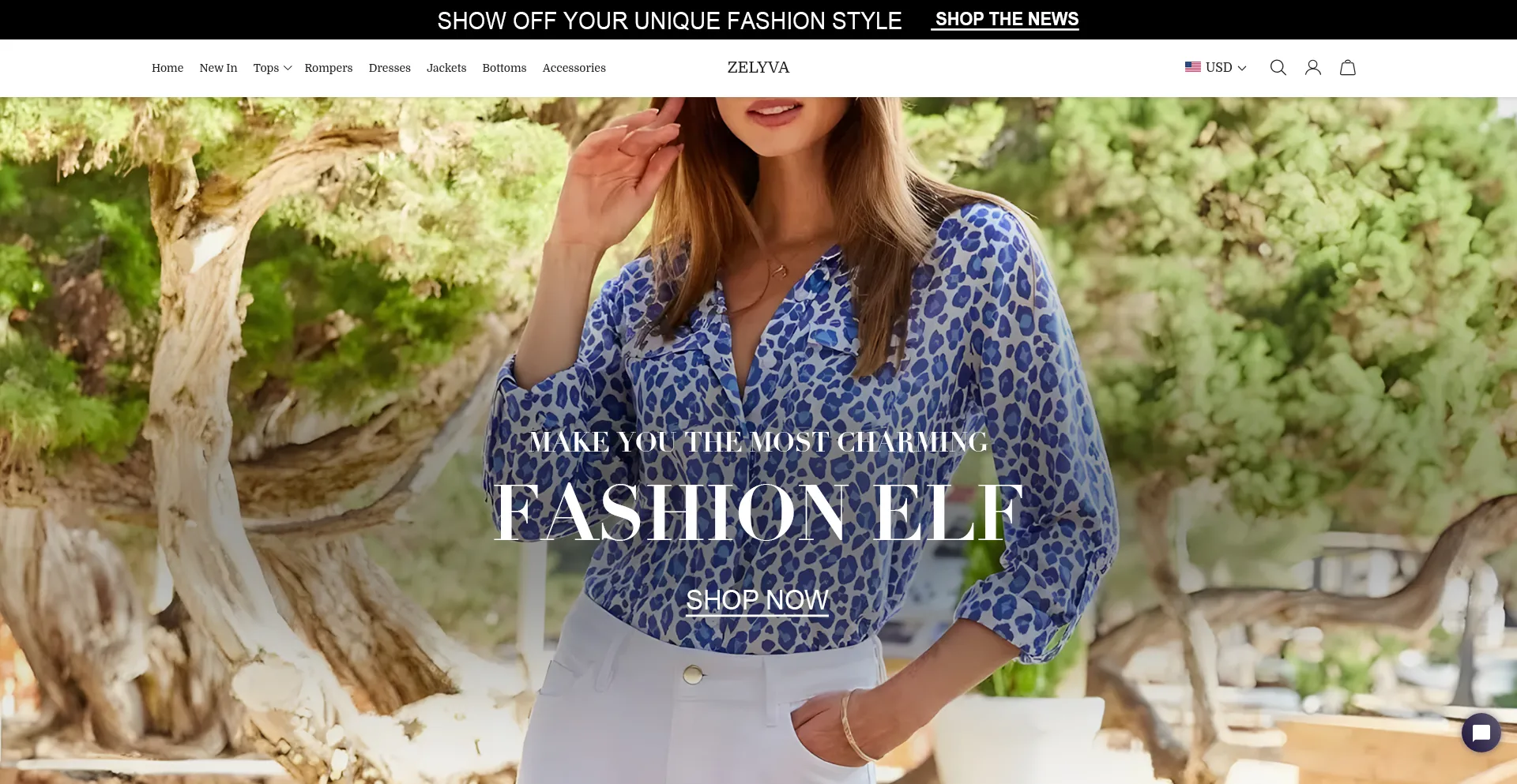 Website screenshot of Zelyva.com