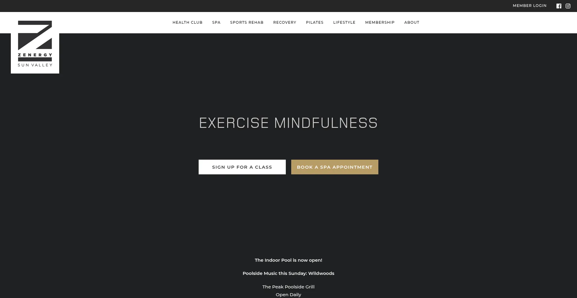 Website screenshot of Zenergysv.com