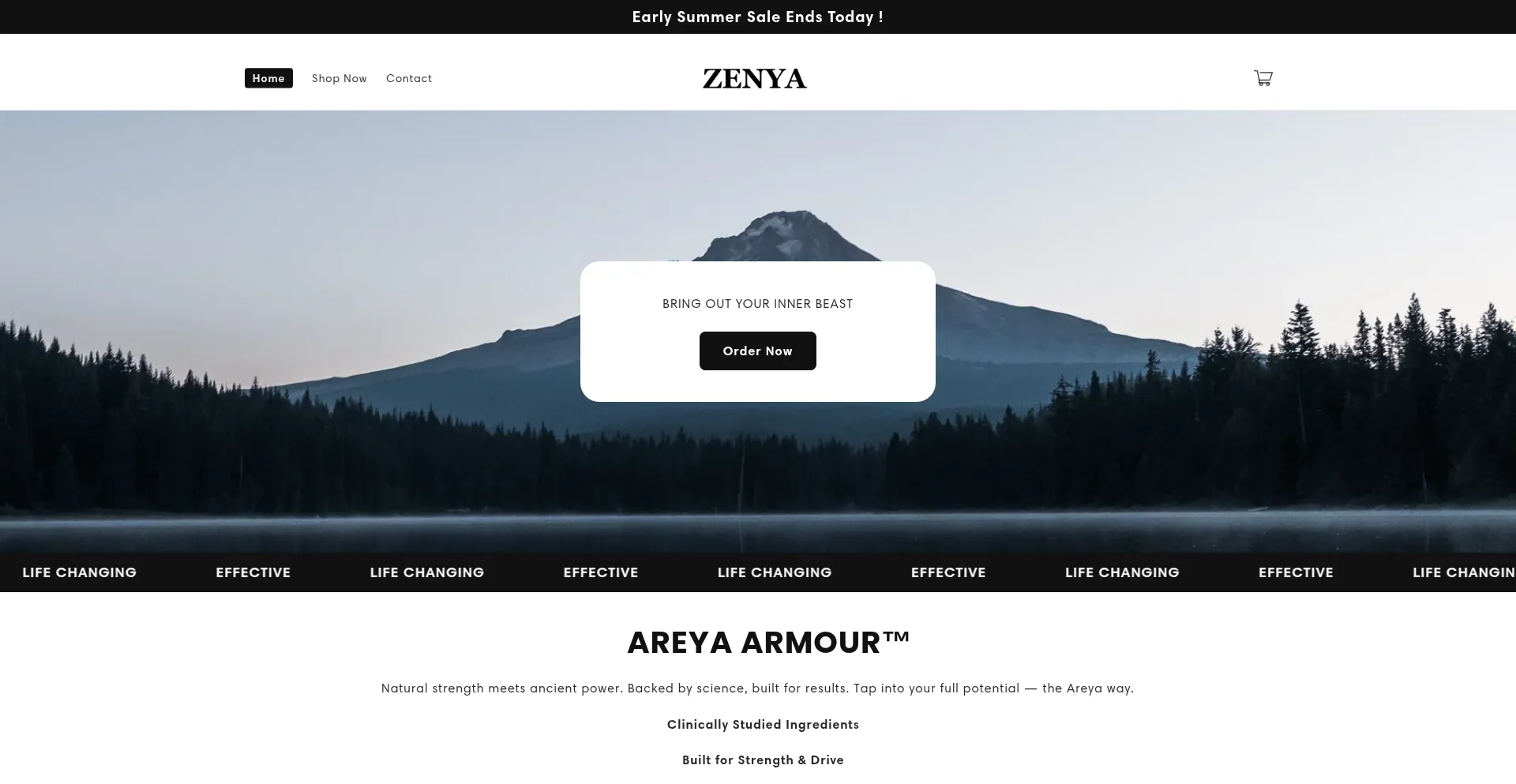 Website screenshot of Zenyalabs.com