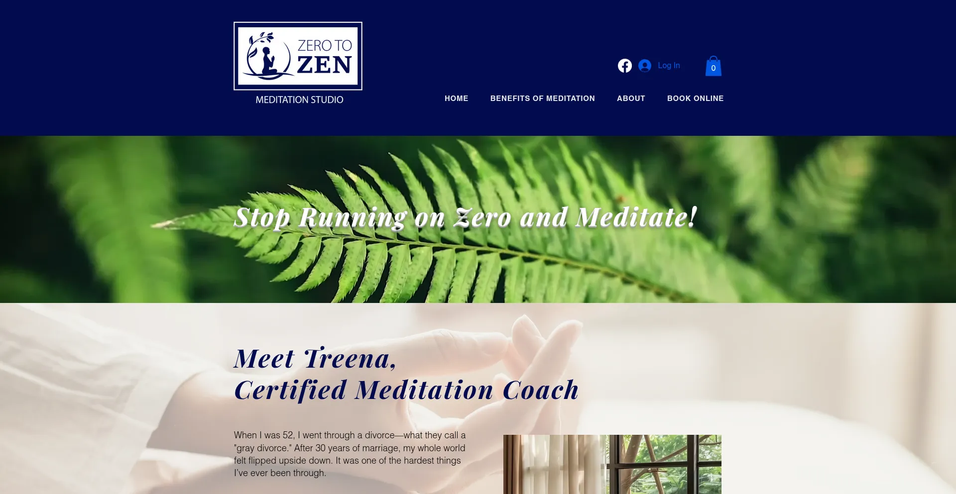 Website screenshot of Zero-to-zen.com