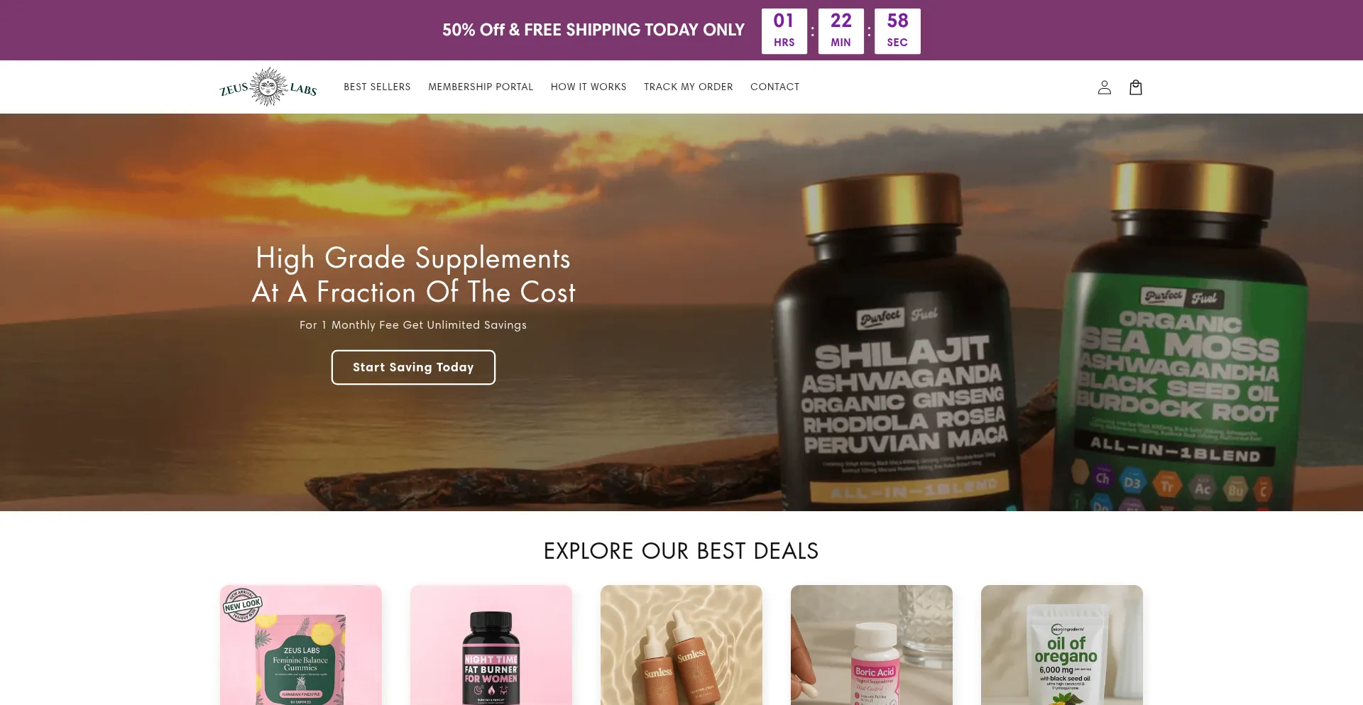 Website screenshot of Zeuslabs.co