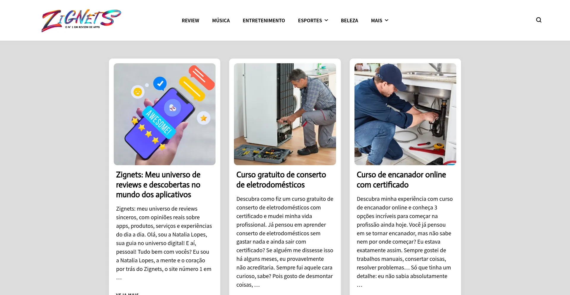 Website screenshot of Zignets.com