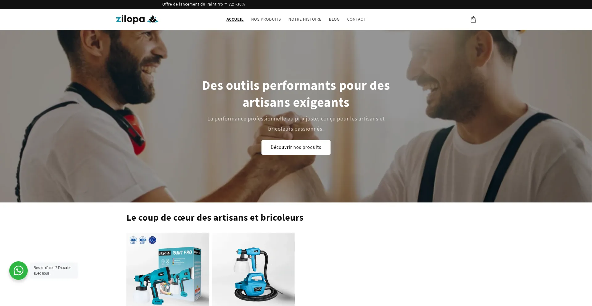 Website screenshot of Zilopa.com