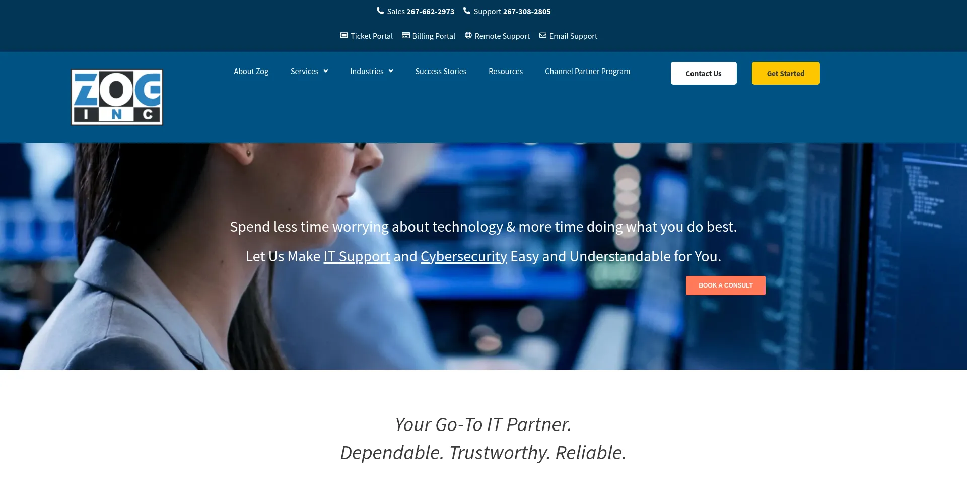 Website screenshot of Zoginc.com