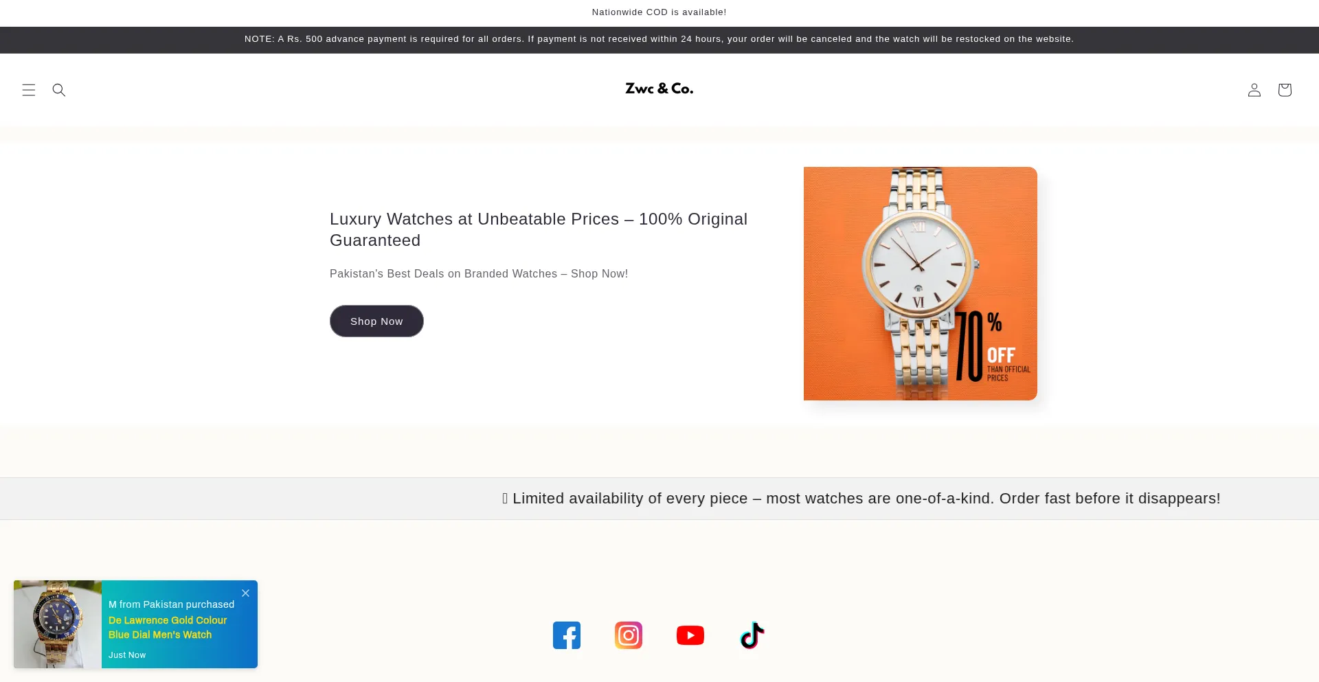 Website screenshot of Zwcandco.com