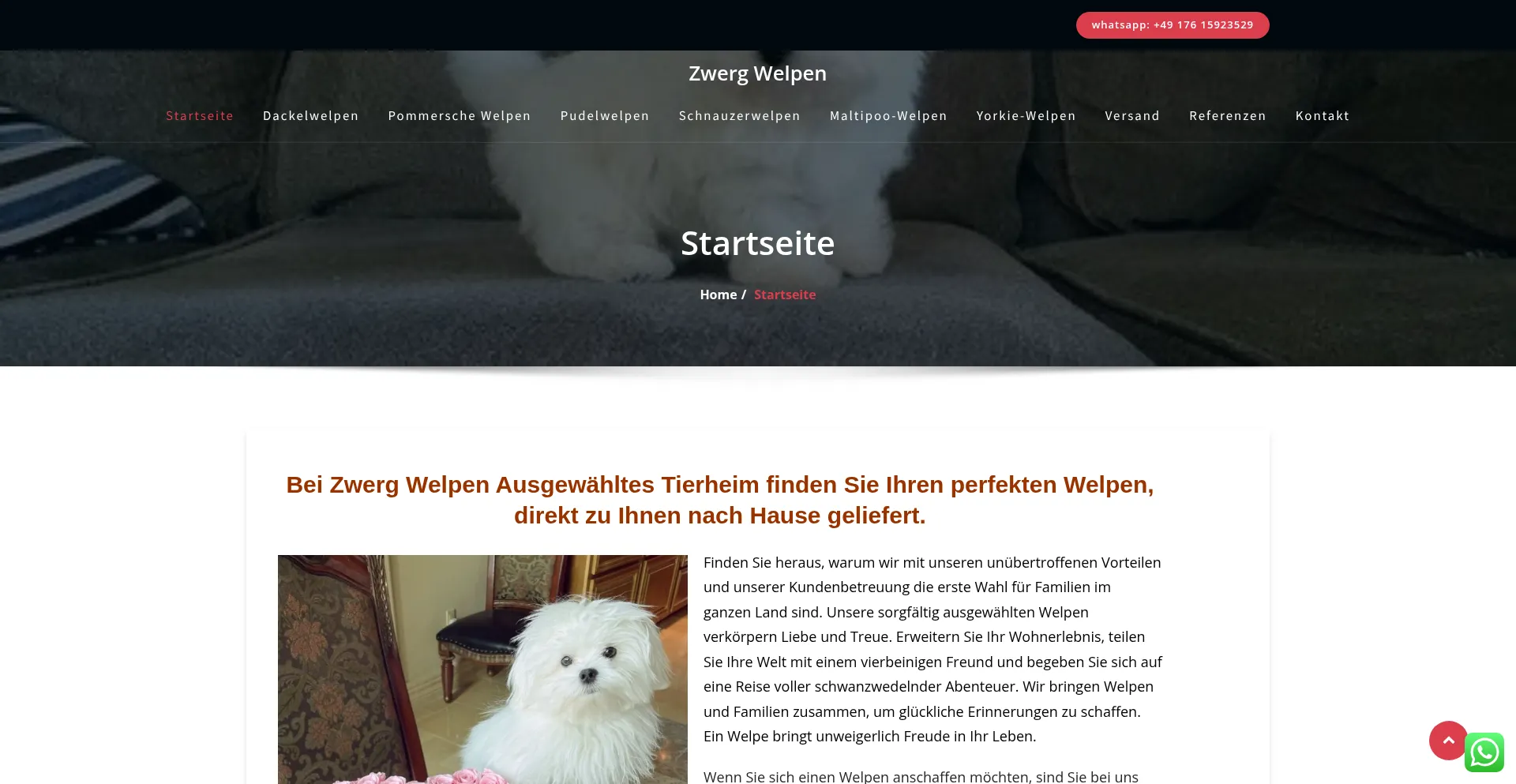 Zwergwelpen.de