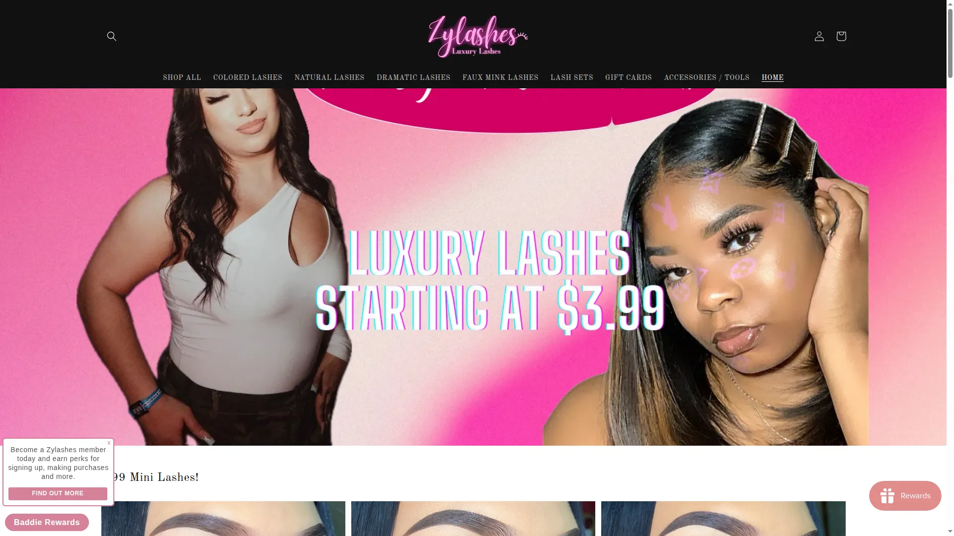 Zylashes.com