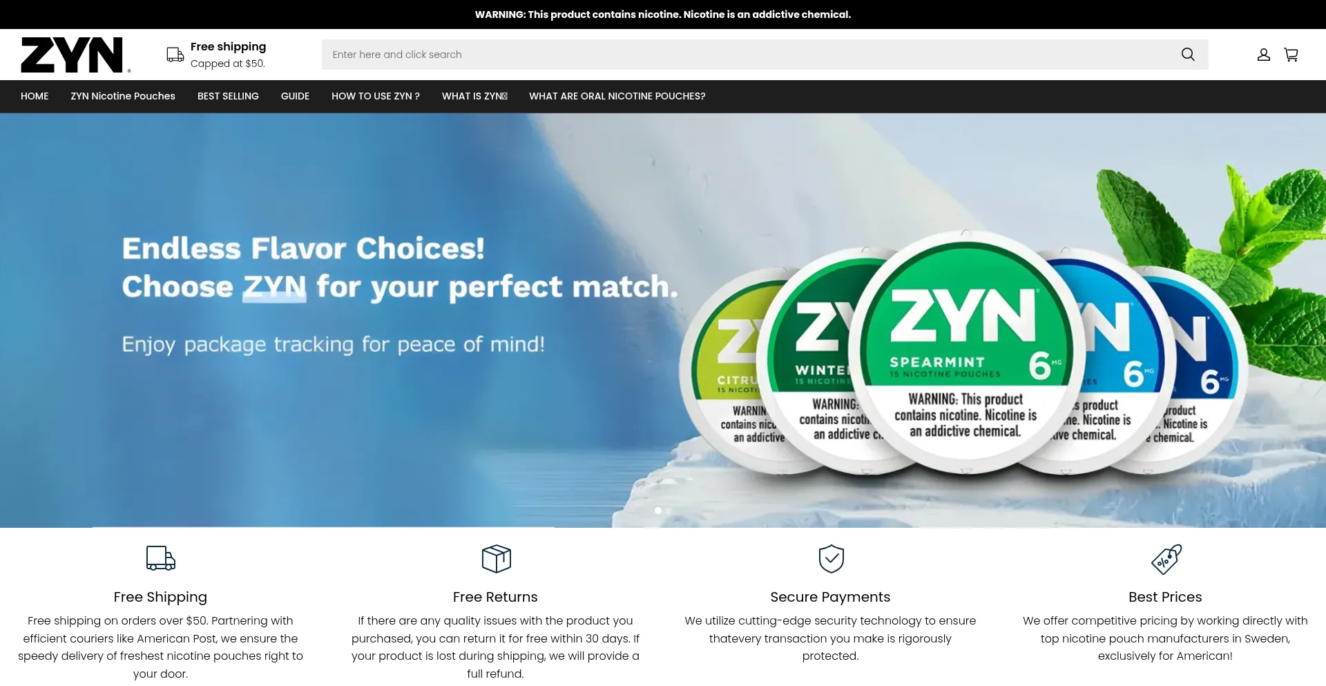 Website screenshot of Zyn-na.com